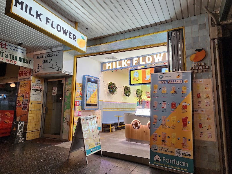 Milk Flower Ashfield photo 3